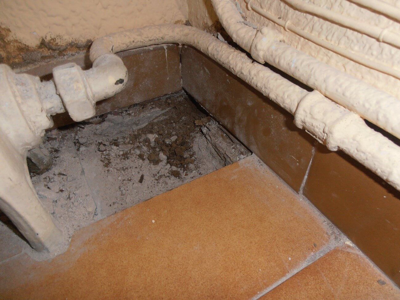 inspeccion-de-vivienda-3