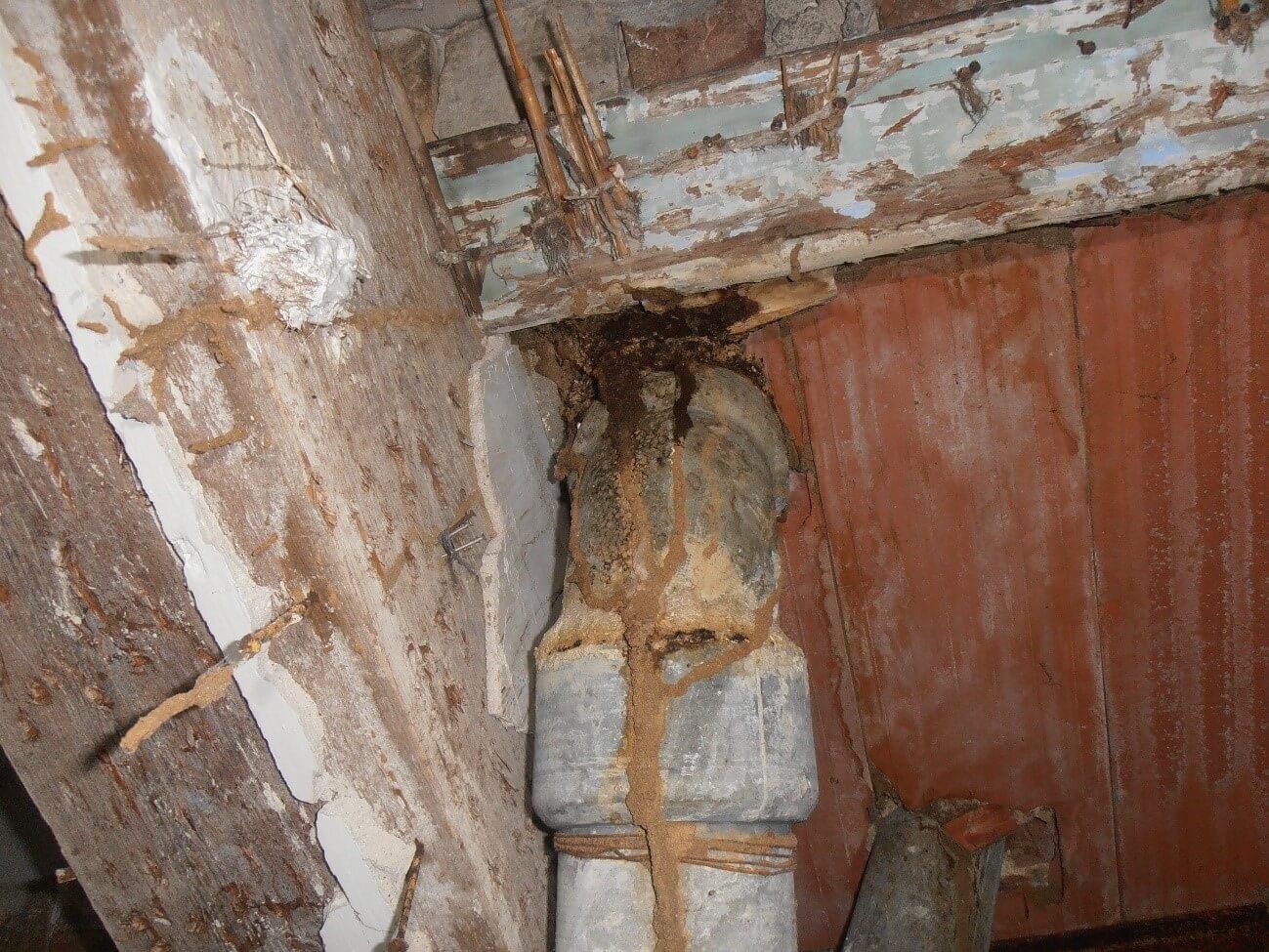 inspeccion-de-vivienda-1